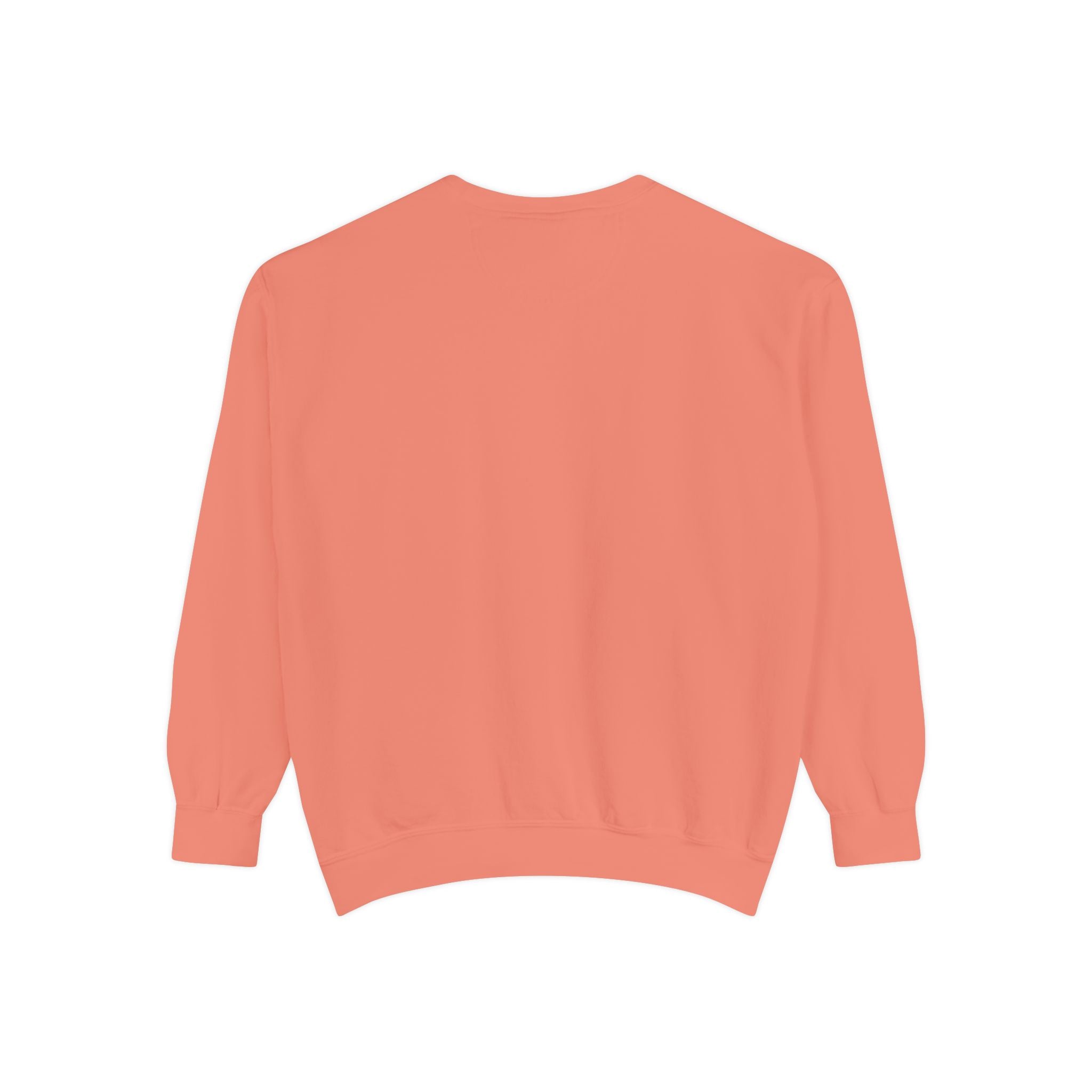 Dilly Daily Club Sweatshirt — Leopard Print Graphic Crewneck