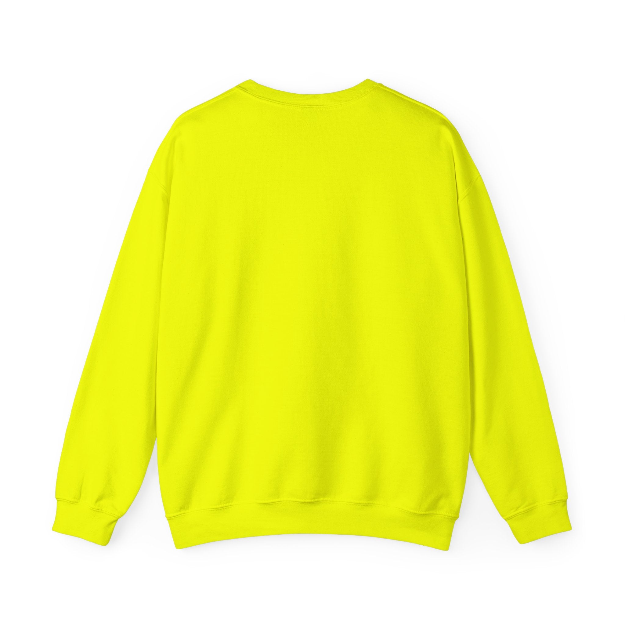 Digital Girls Club Sweatshirt — Pink Collegiate Crewneck