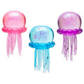 Jellyfish (PRE ORDER)